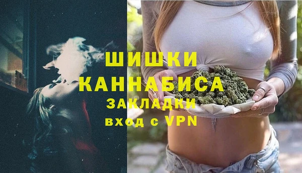 МДПВ Нефтегорск