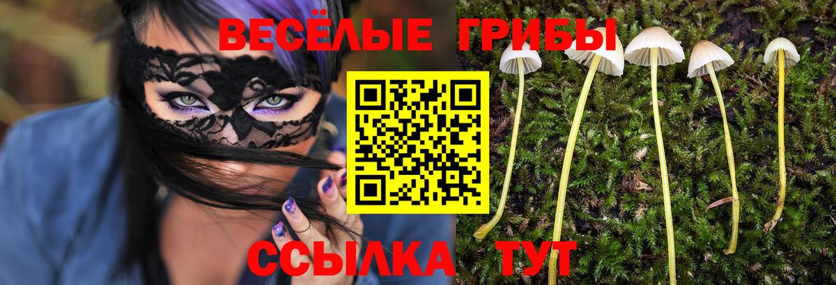 Псилоцибиновые грибы Cubensis Реж